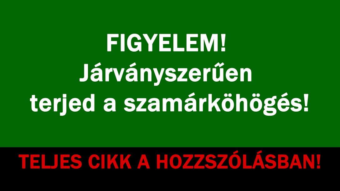 FIGYELEM! Járványszerűen terjed a szamárköhögés!