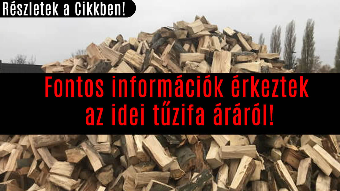 Fontos információk érkeztek az idei tűzifa áráról!